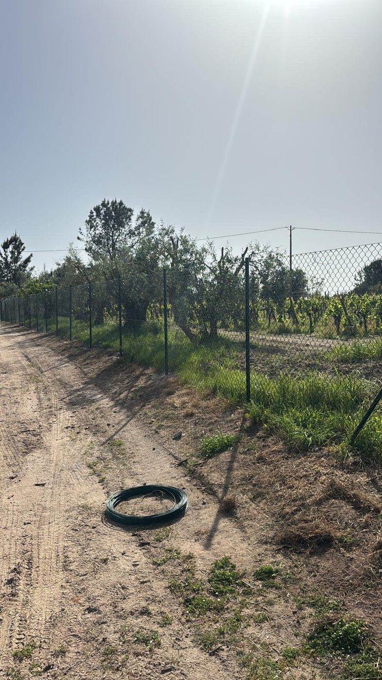 Vedação em rede elástica ao longo de um caminho de terra, Cartaxo