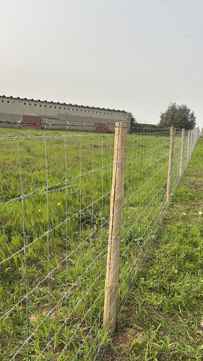 Vedação em rede ovelheira com postes de madeira num terreno, Torres Novas
